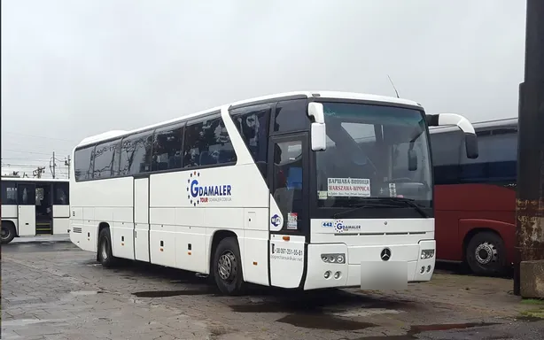 Гречанюк "GDAMALER"