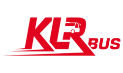 ТОВ ЛЮКС-РЕЙЗЕН БІС logo