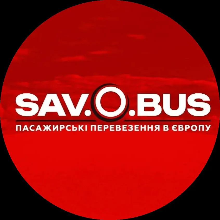 V-Bus logo