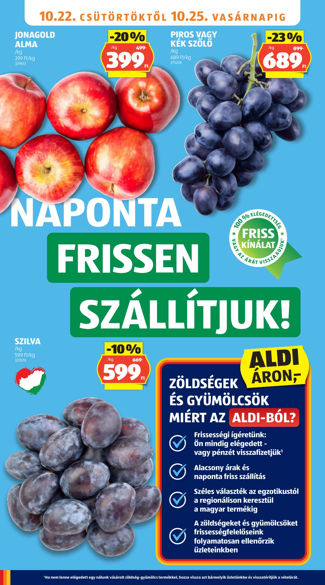 Strona 6