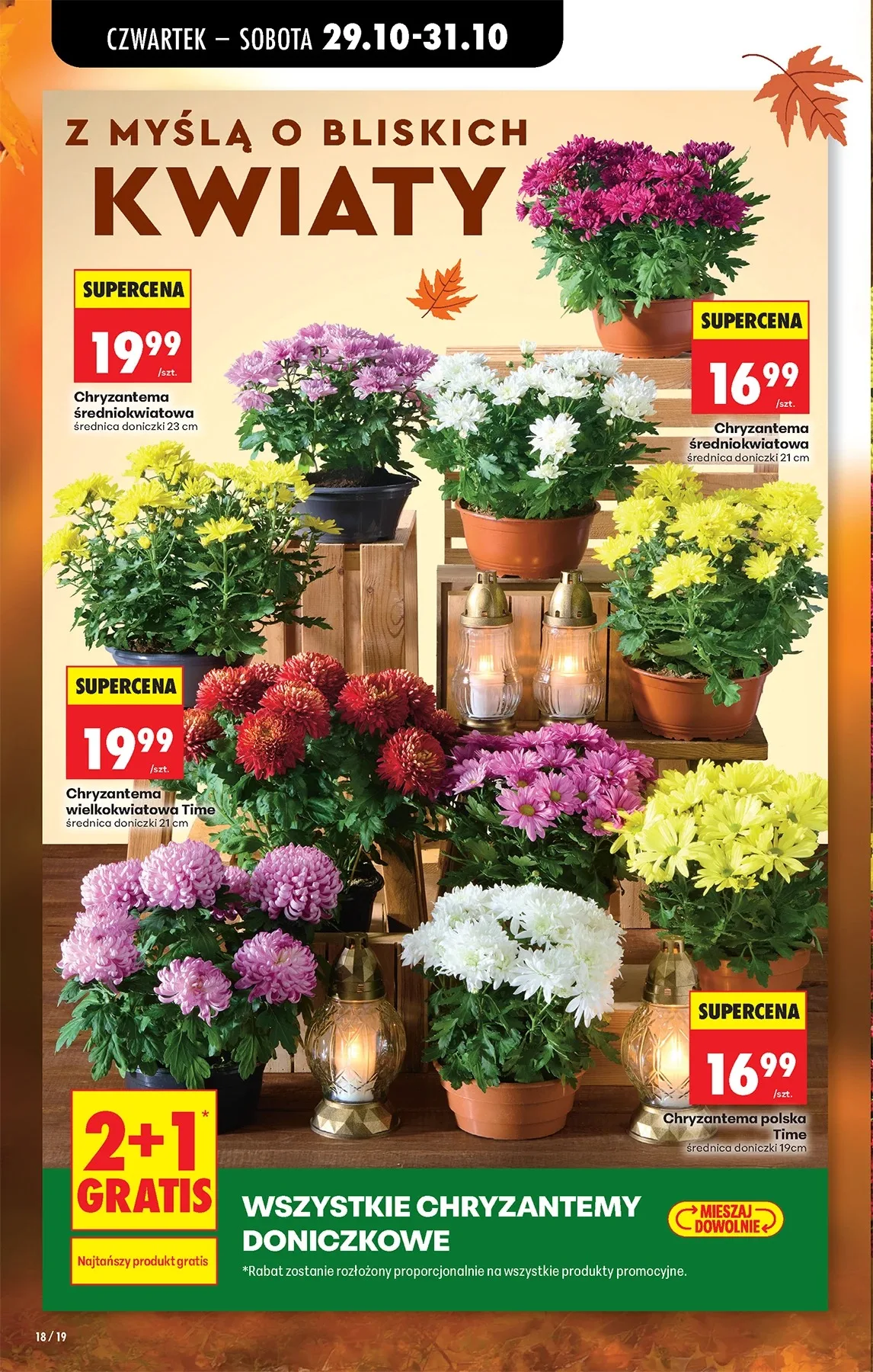 Pagina 22