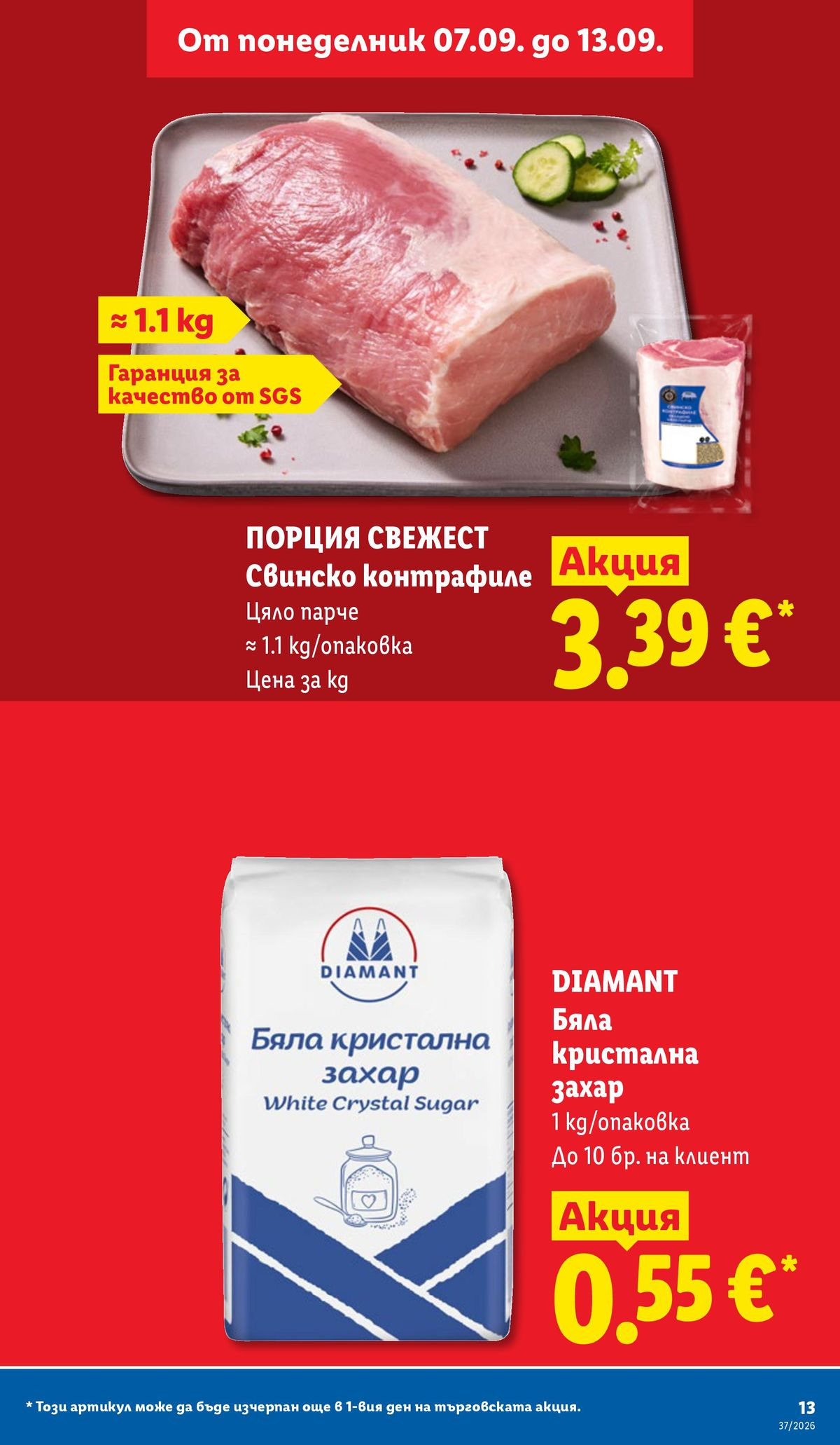 Страница 13