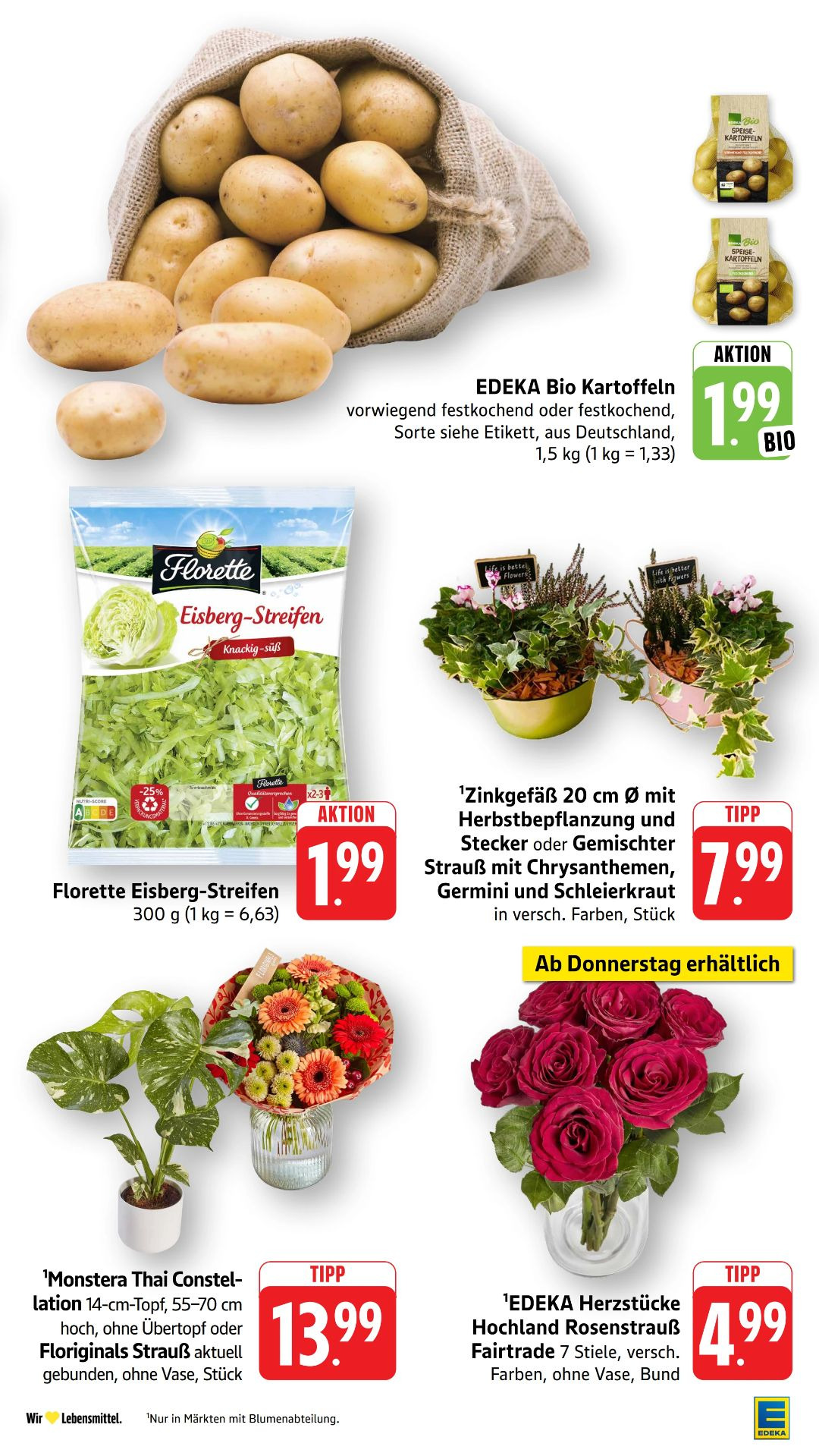 Pagina 13
