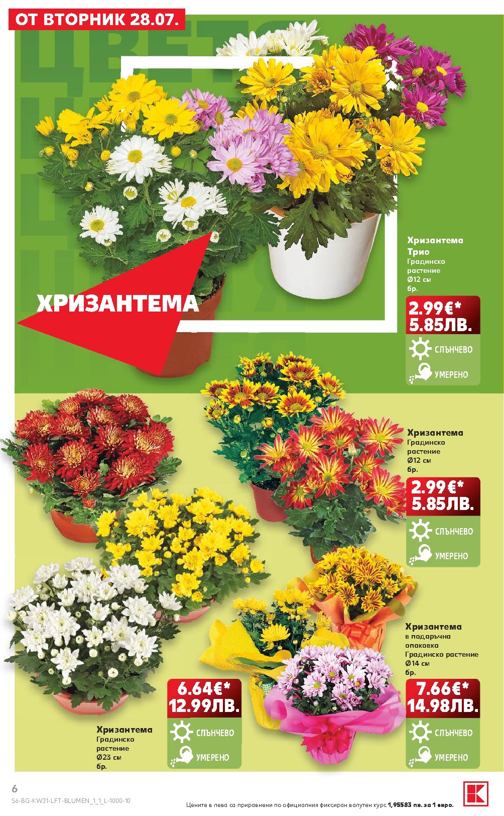 Pagina 6