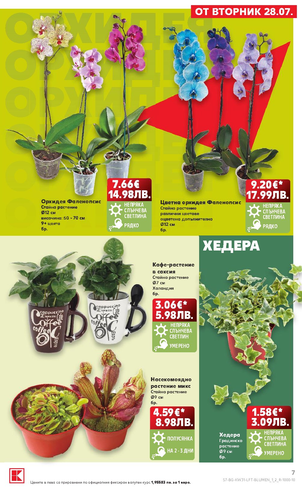 Pagina 7