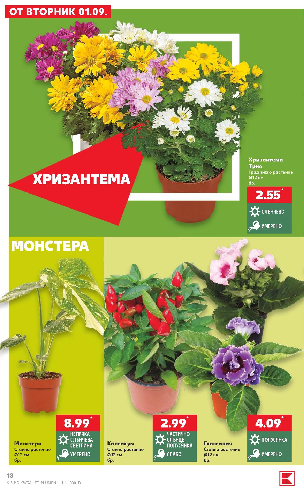 Pagina 18