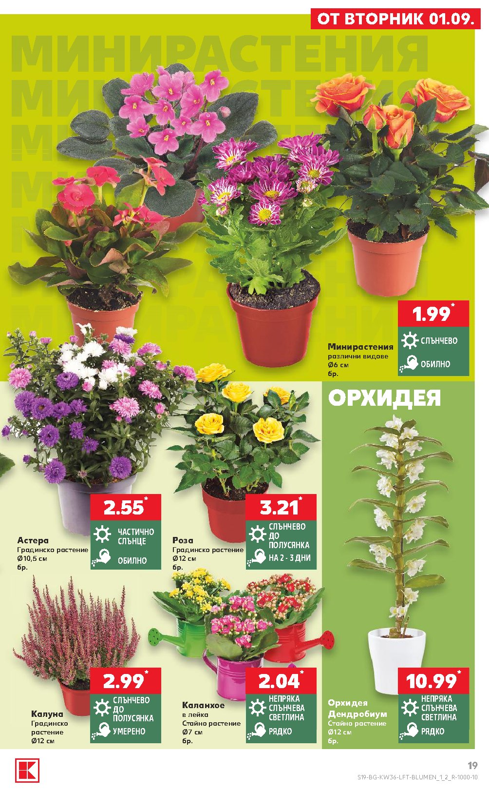 Pagina 19