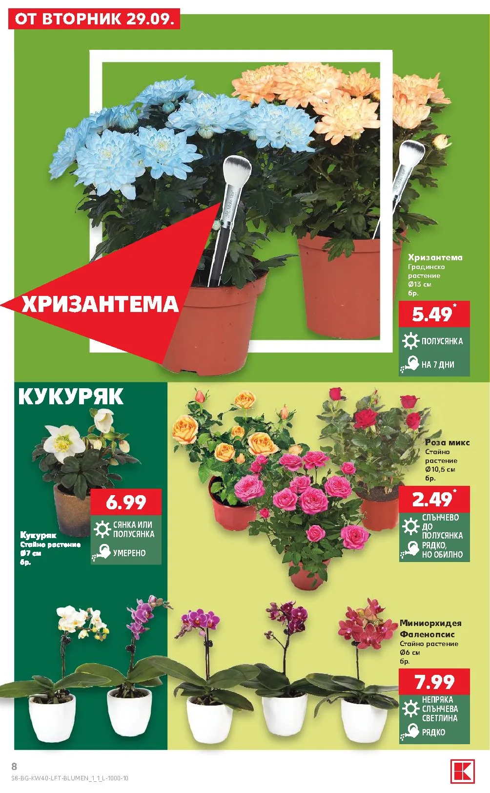 Pagina 8