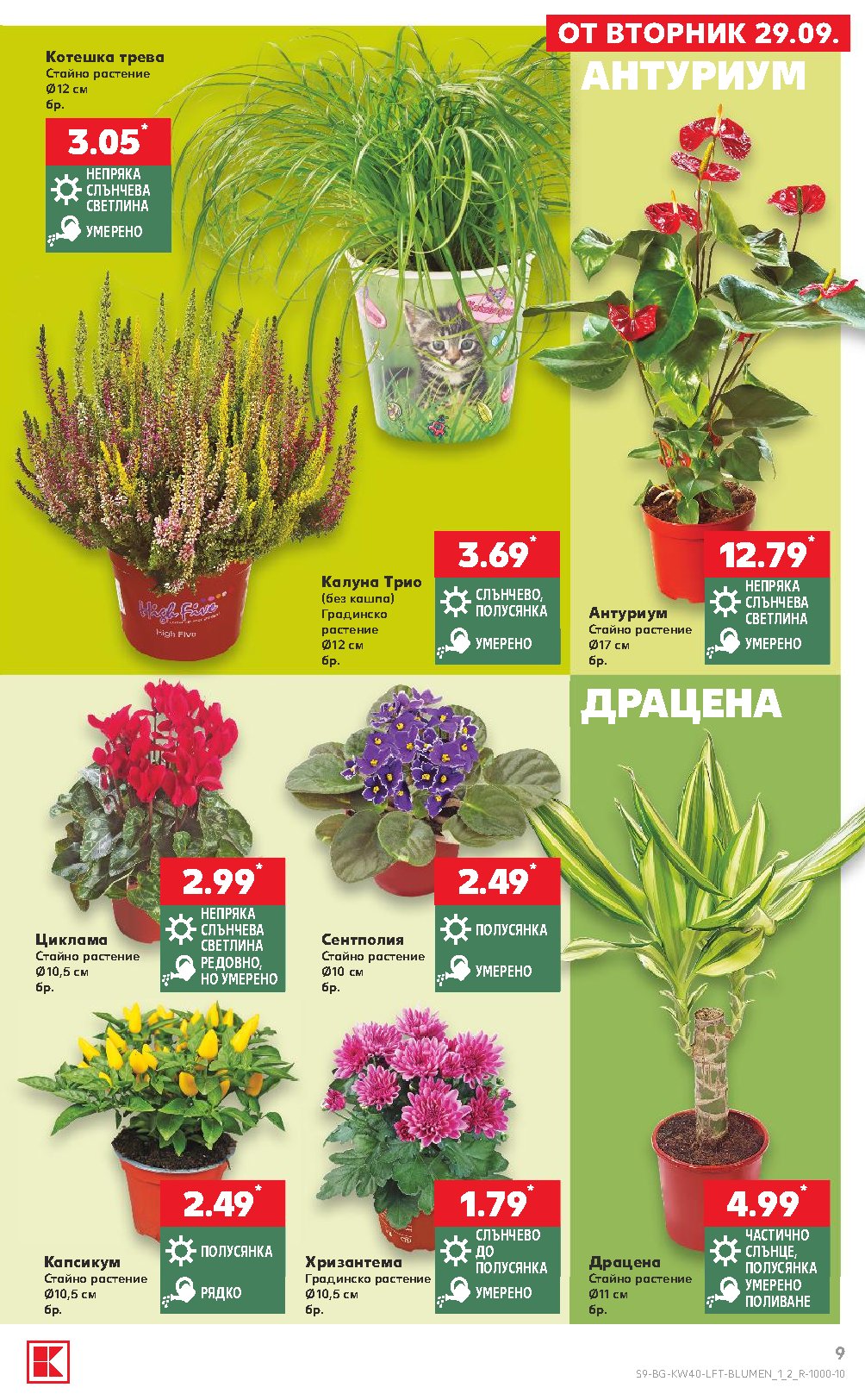 Pagina 9