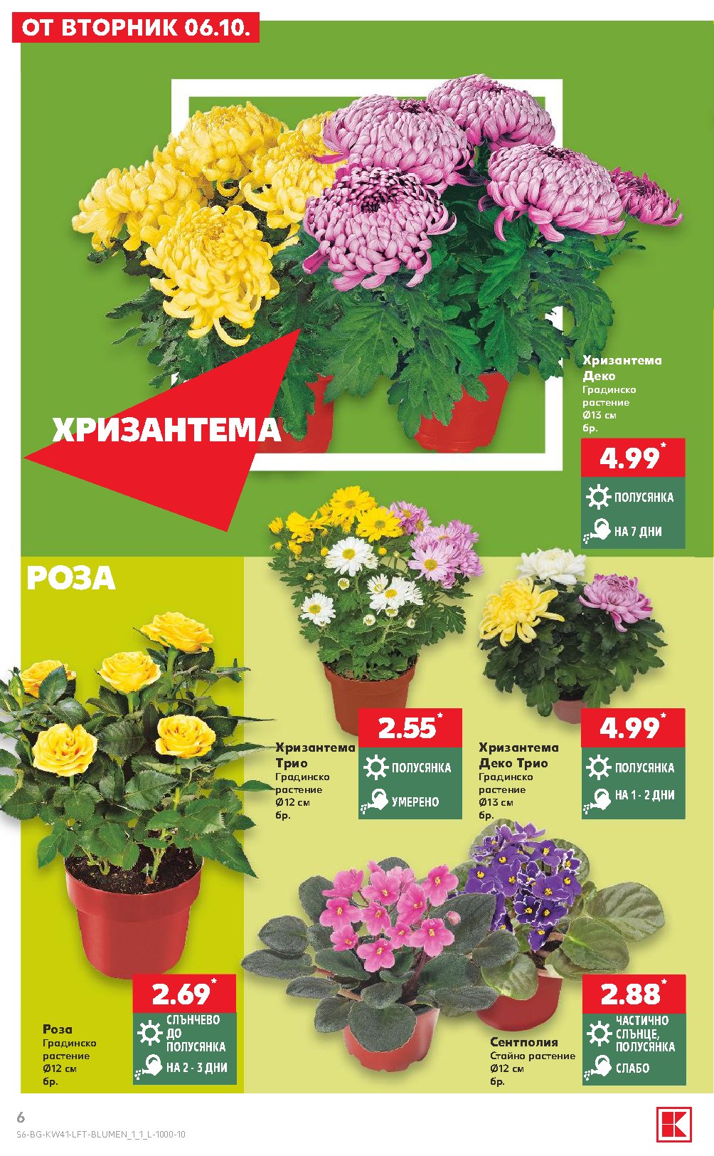Pagina 6