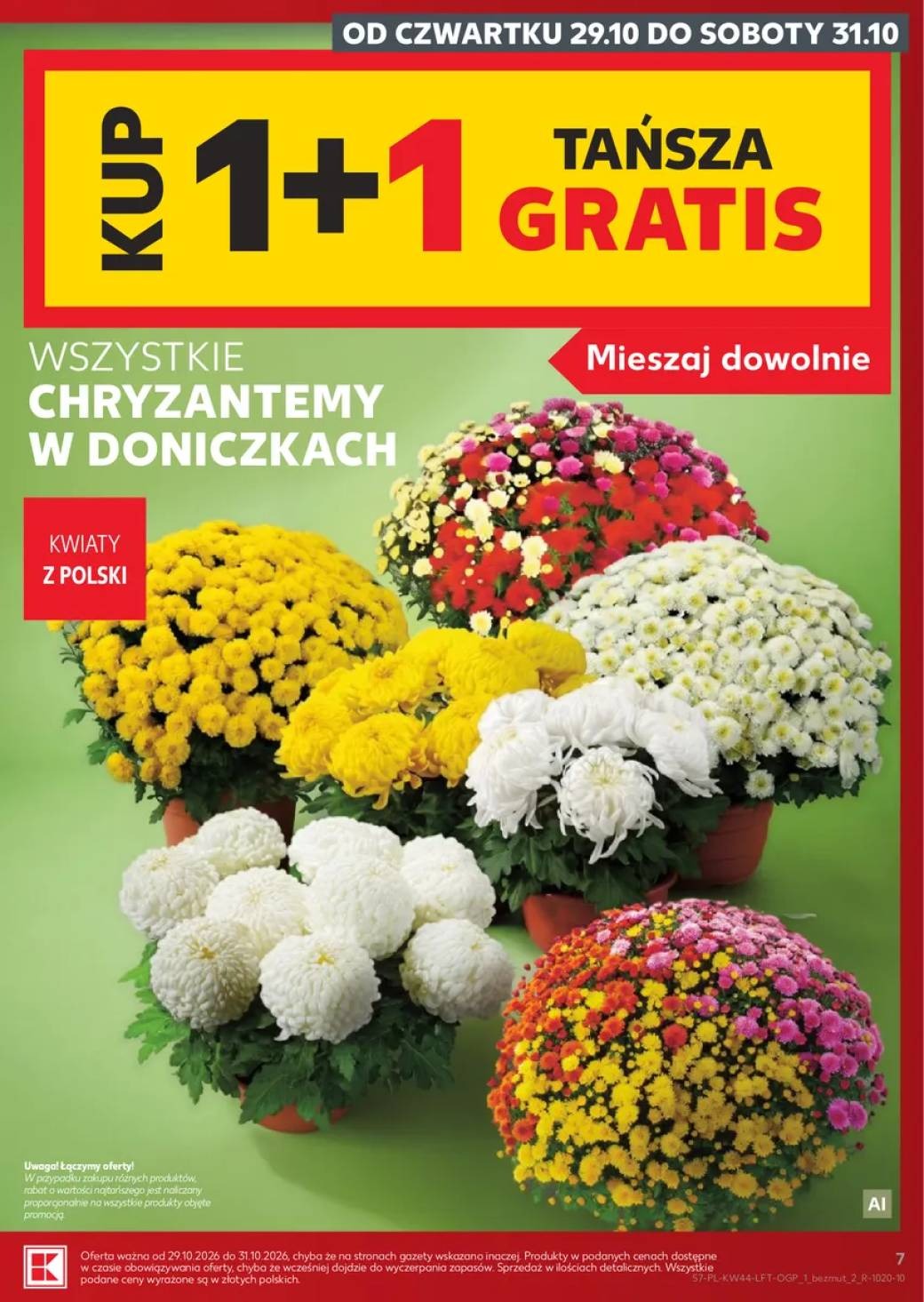 Pagina 7