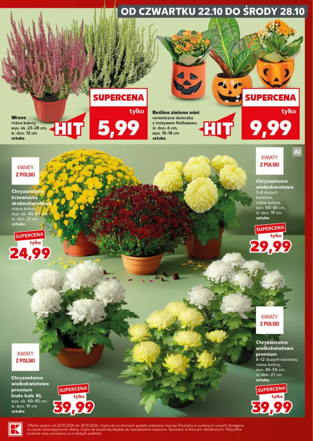 Pagina 5