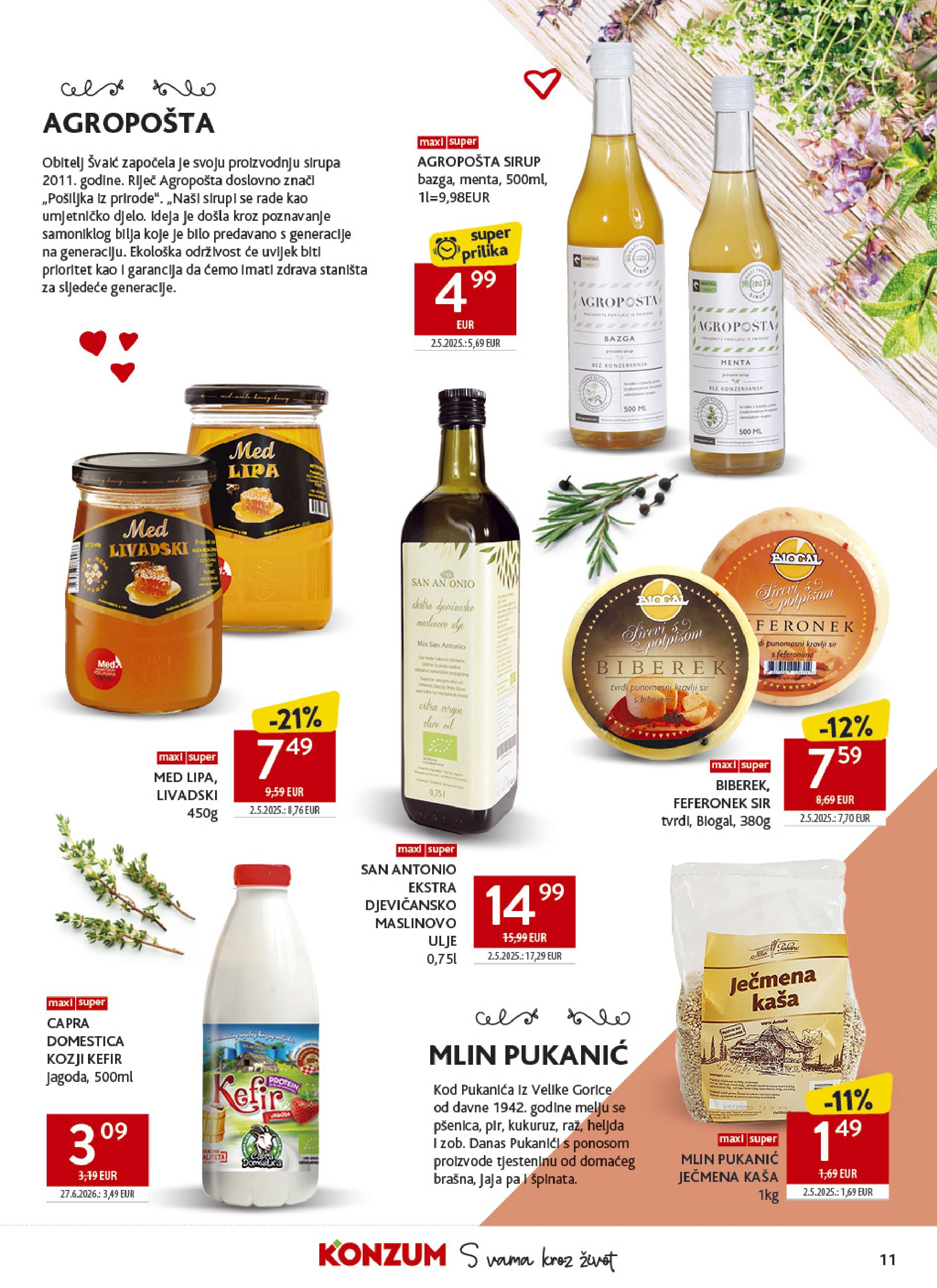 Pagina 11