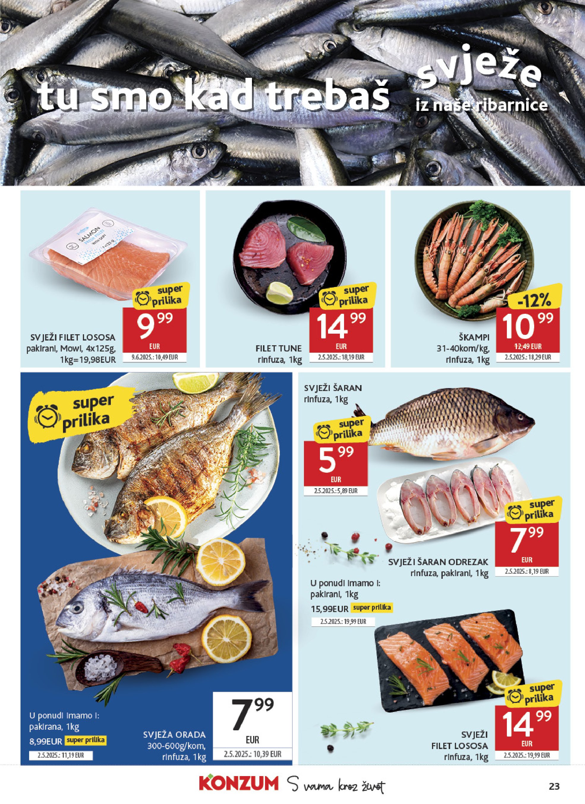 Pagina 23