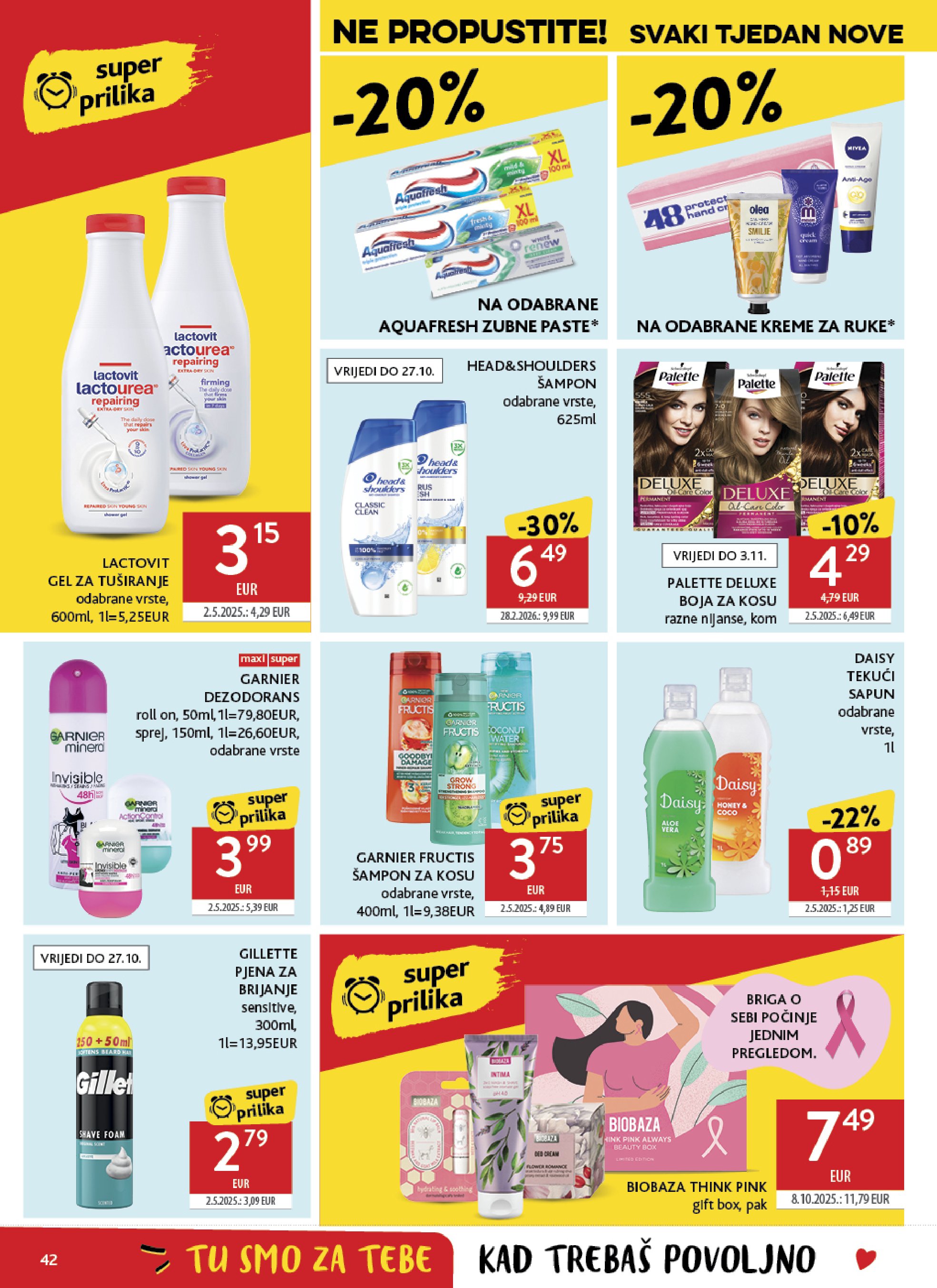 Pagina 42