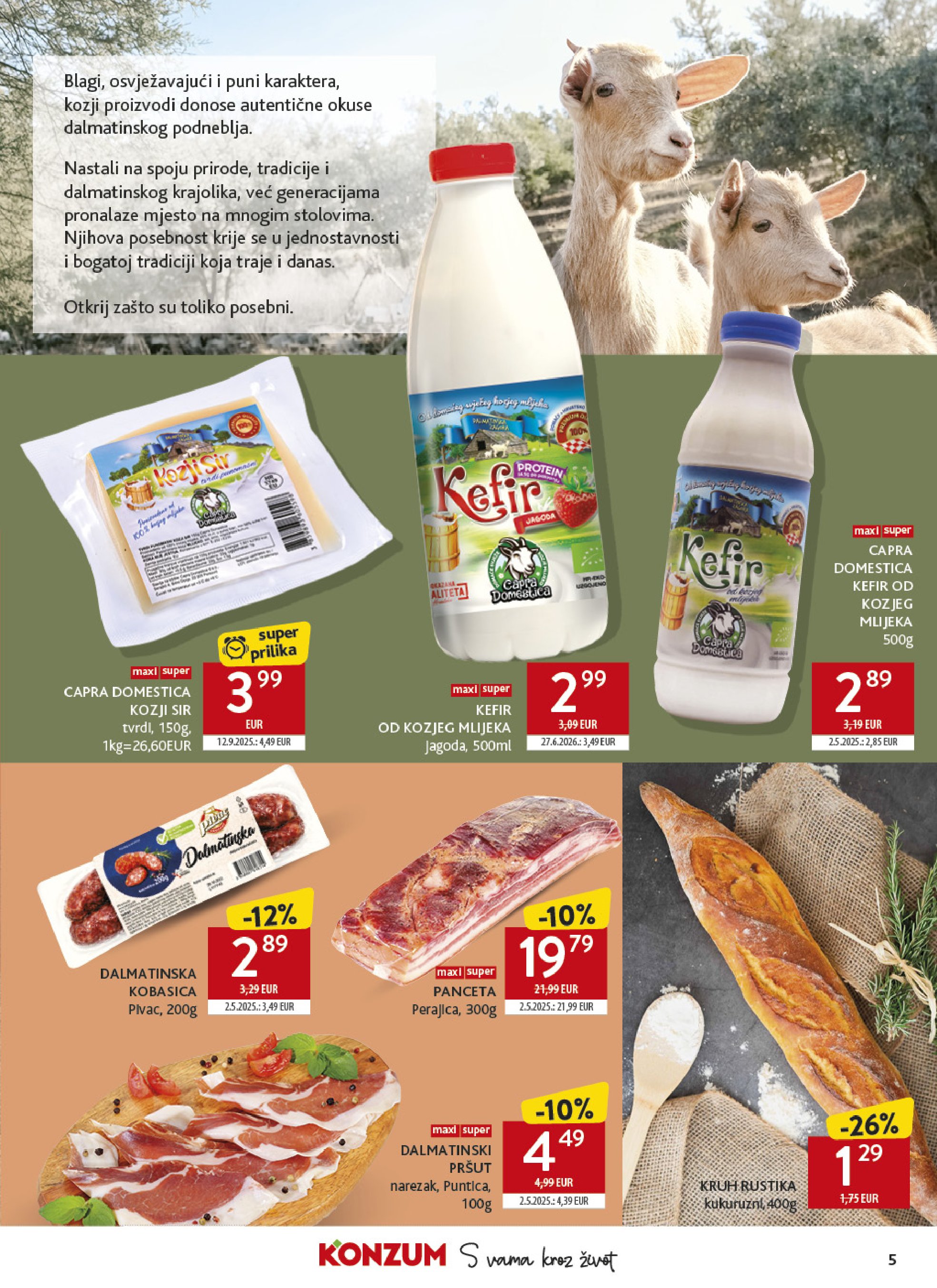 Pagina 5