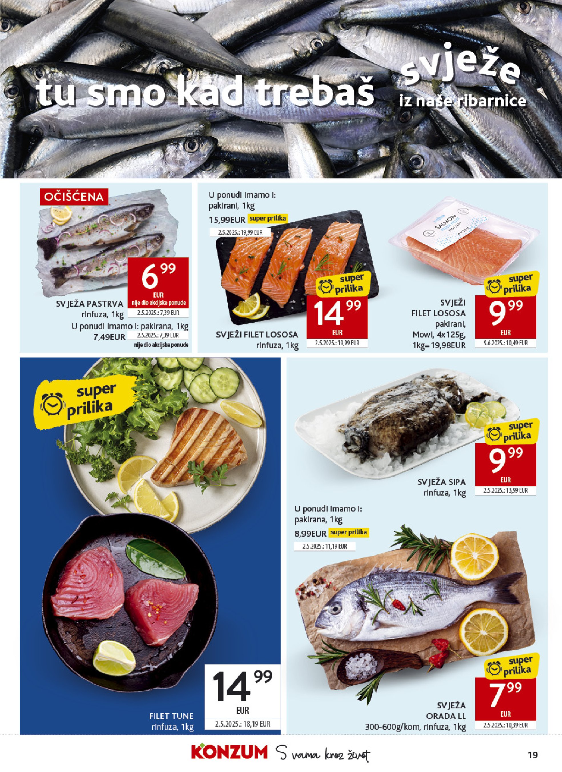 Pagina 19