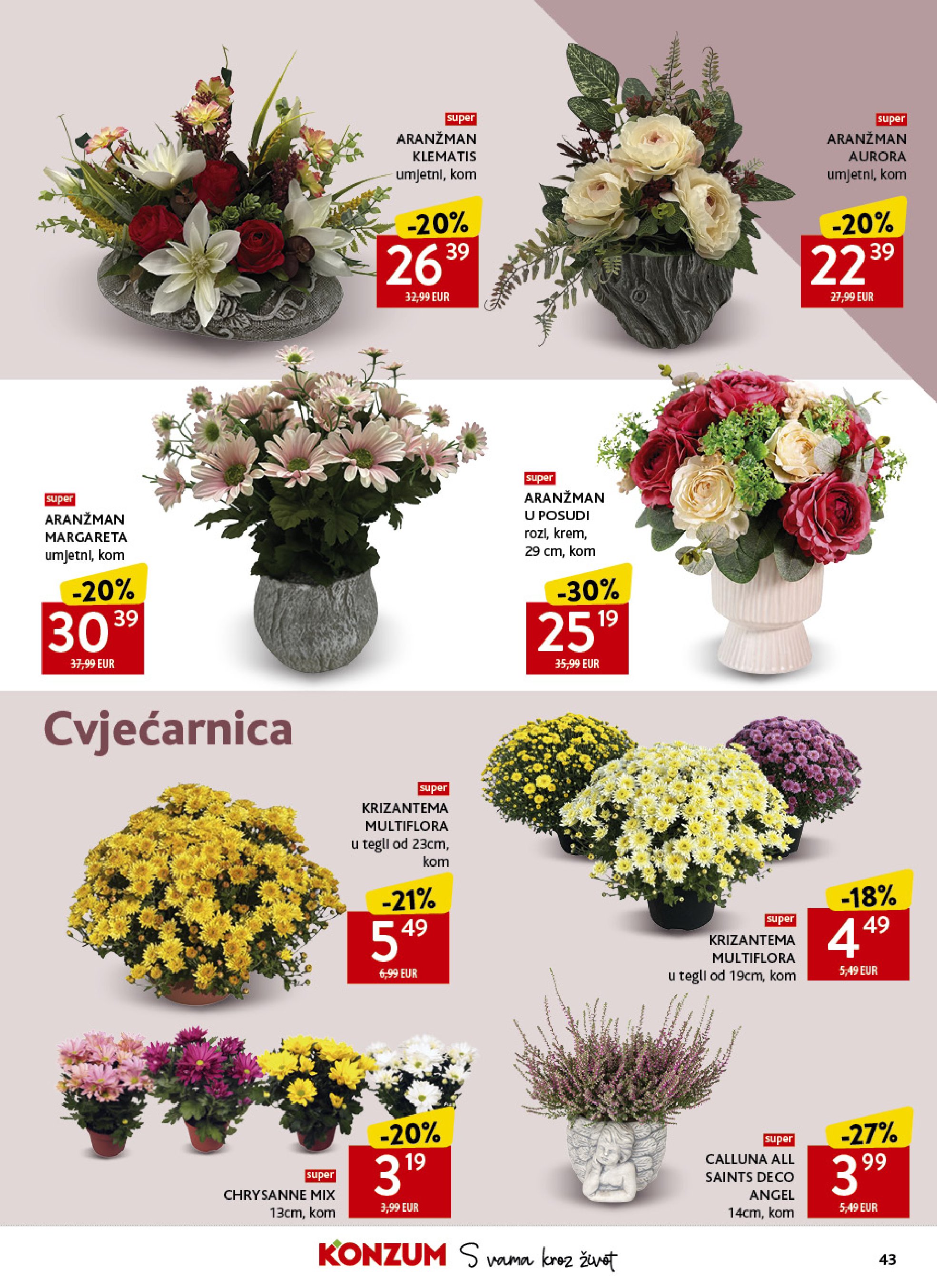 Pagina 43