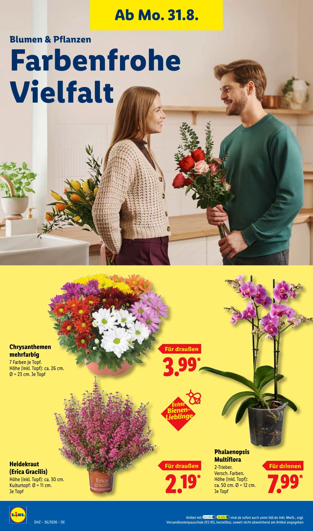 עמוד 30