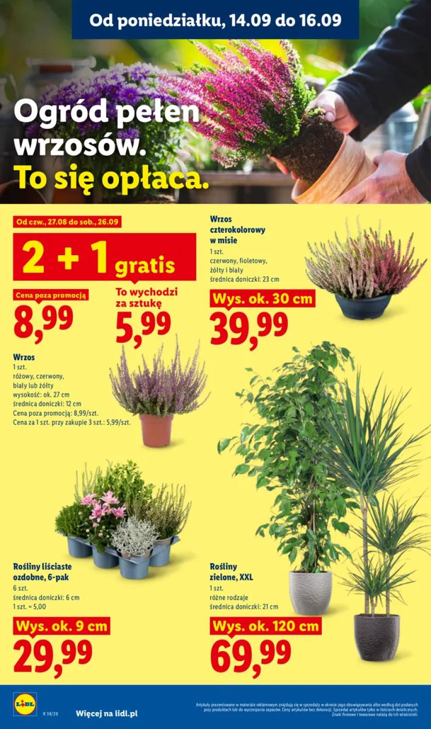 Faqe 78