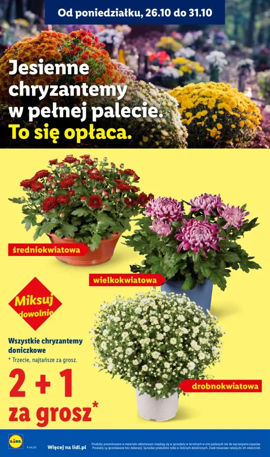 Σελίδα 44