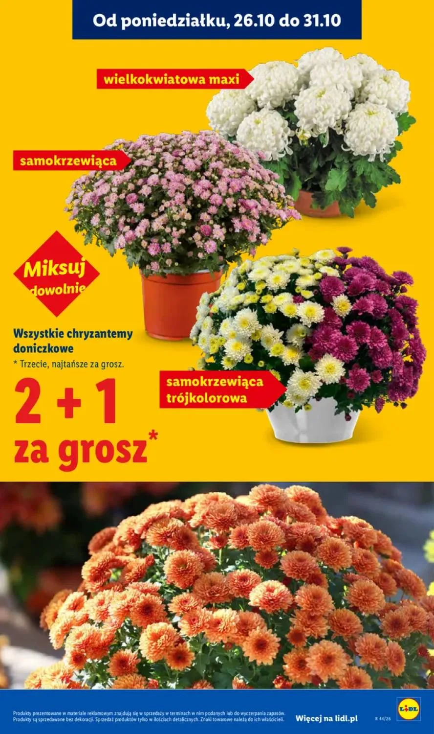 Σελίδα 45