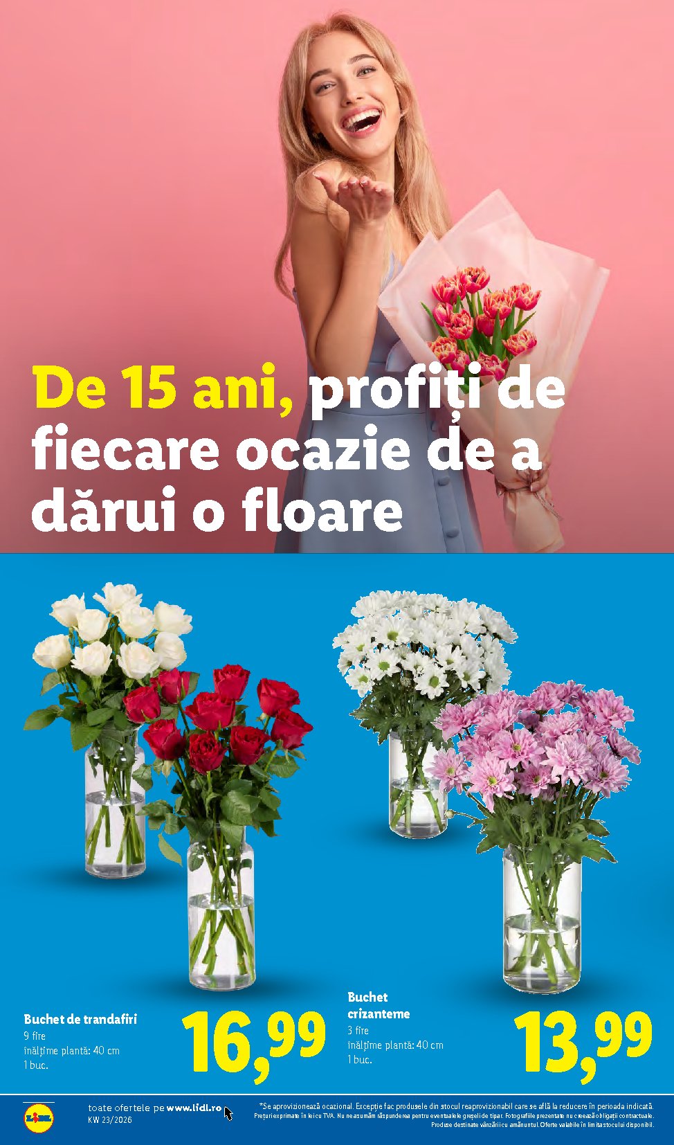 Página 46