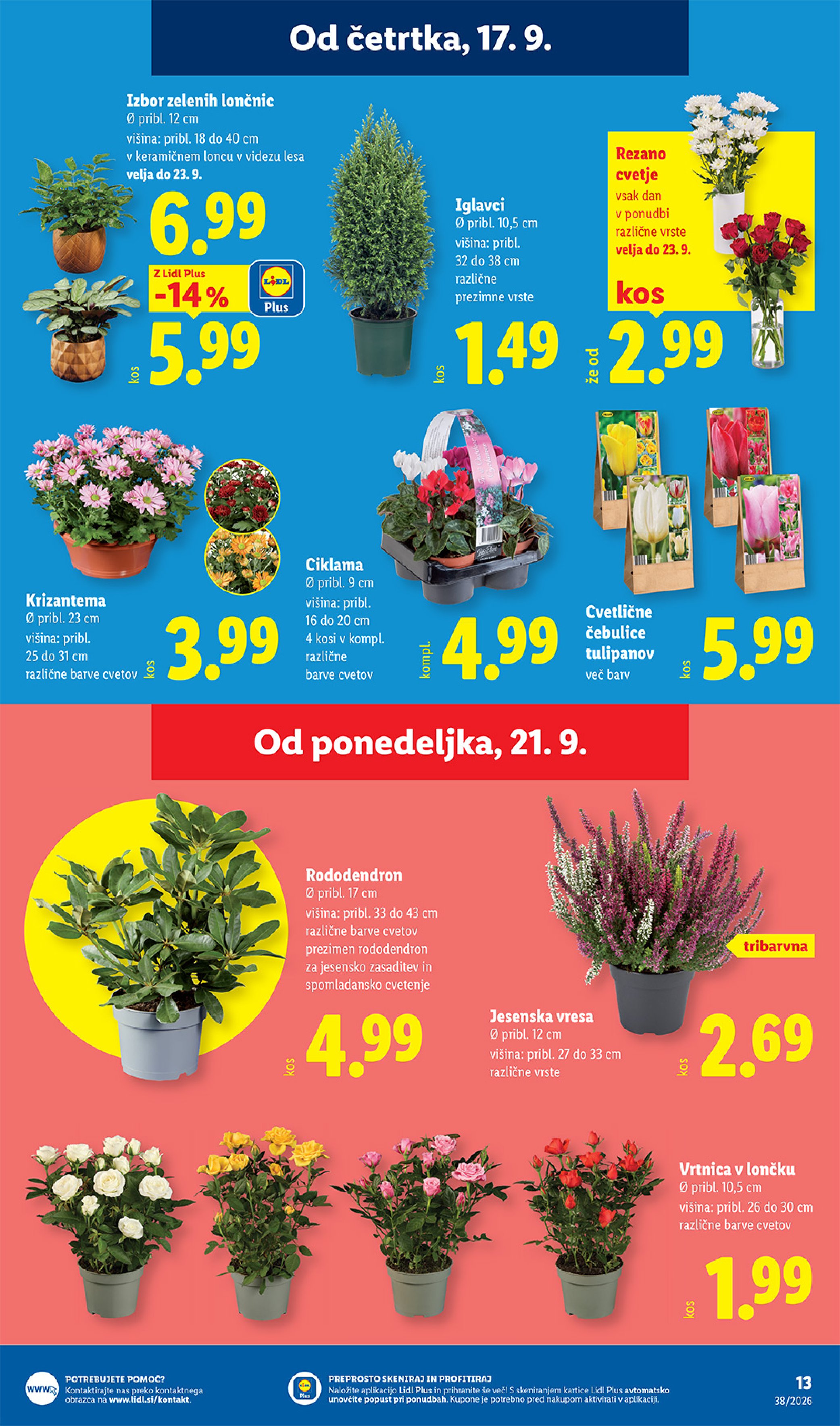 Pagina 23