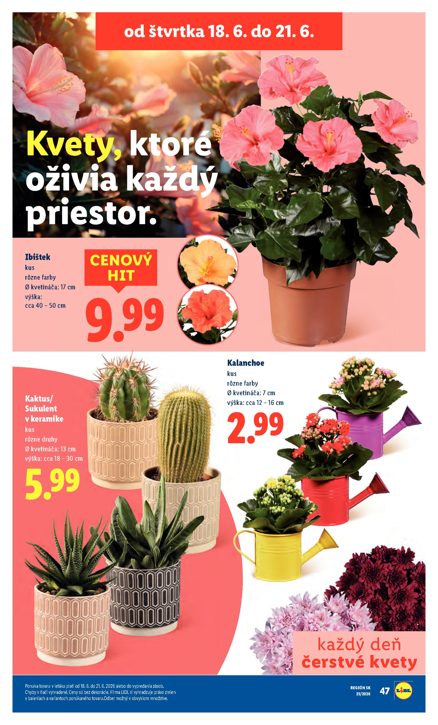 Сторінка 83