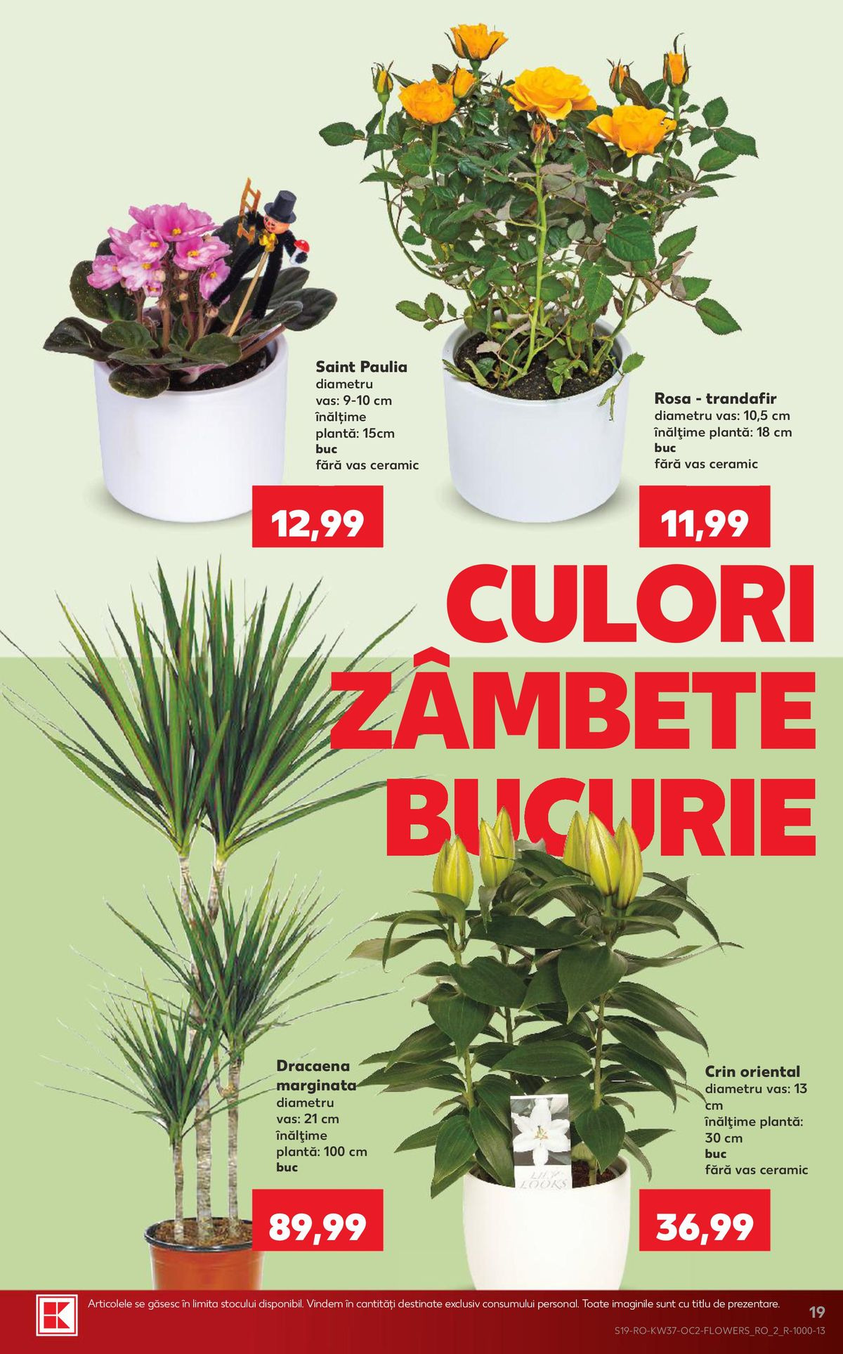 Pagina 19