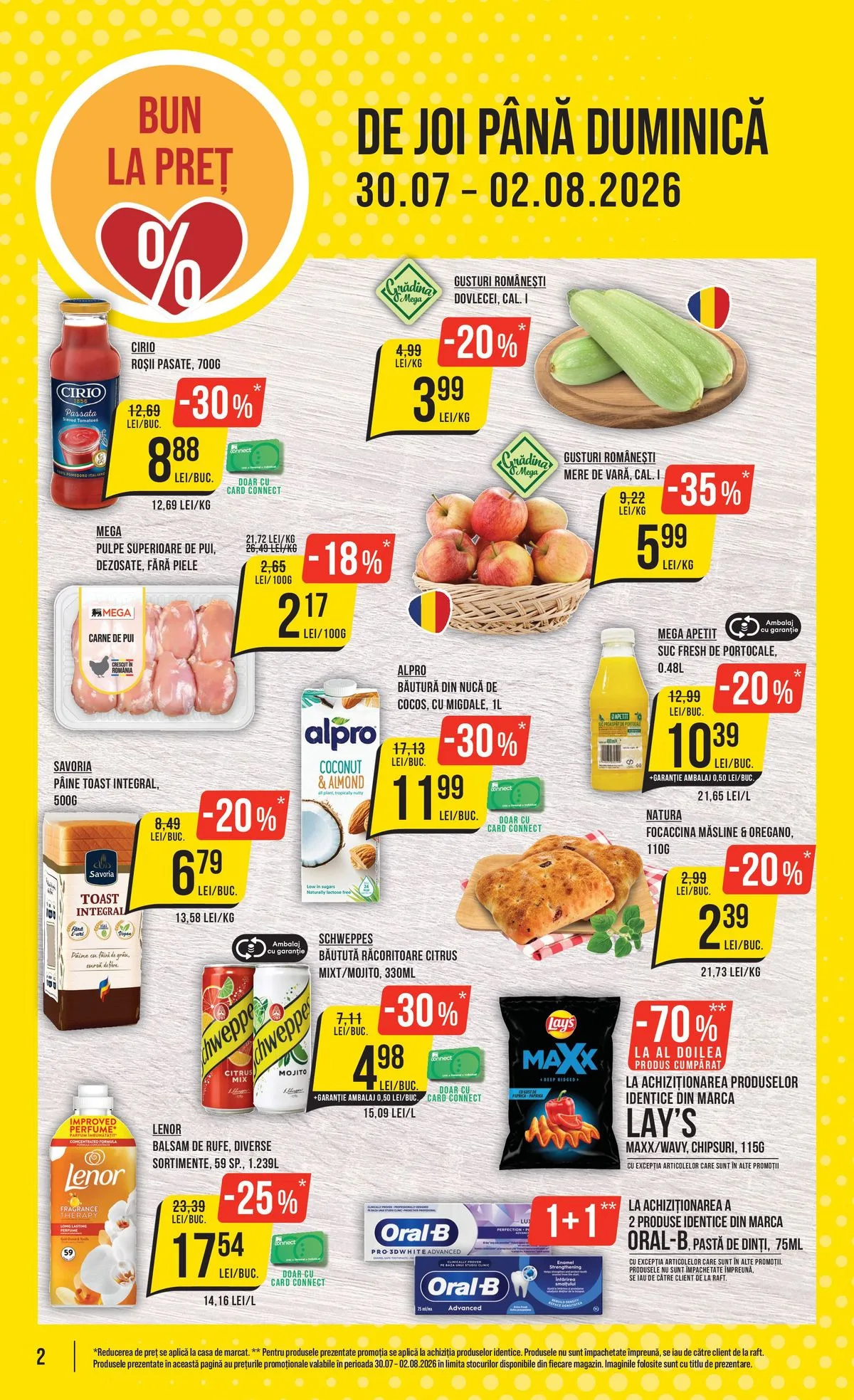 Pagina 2
