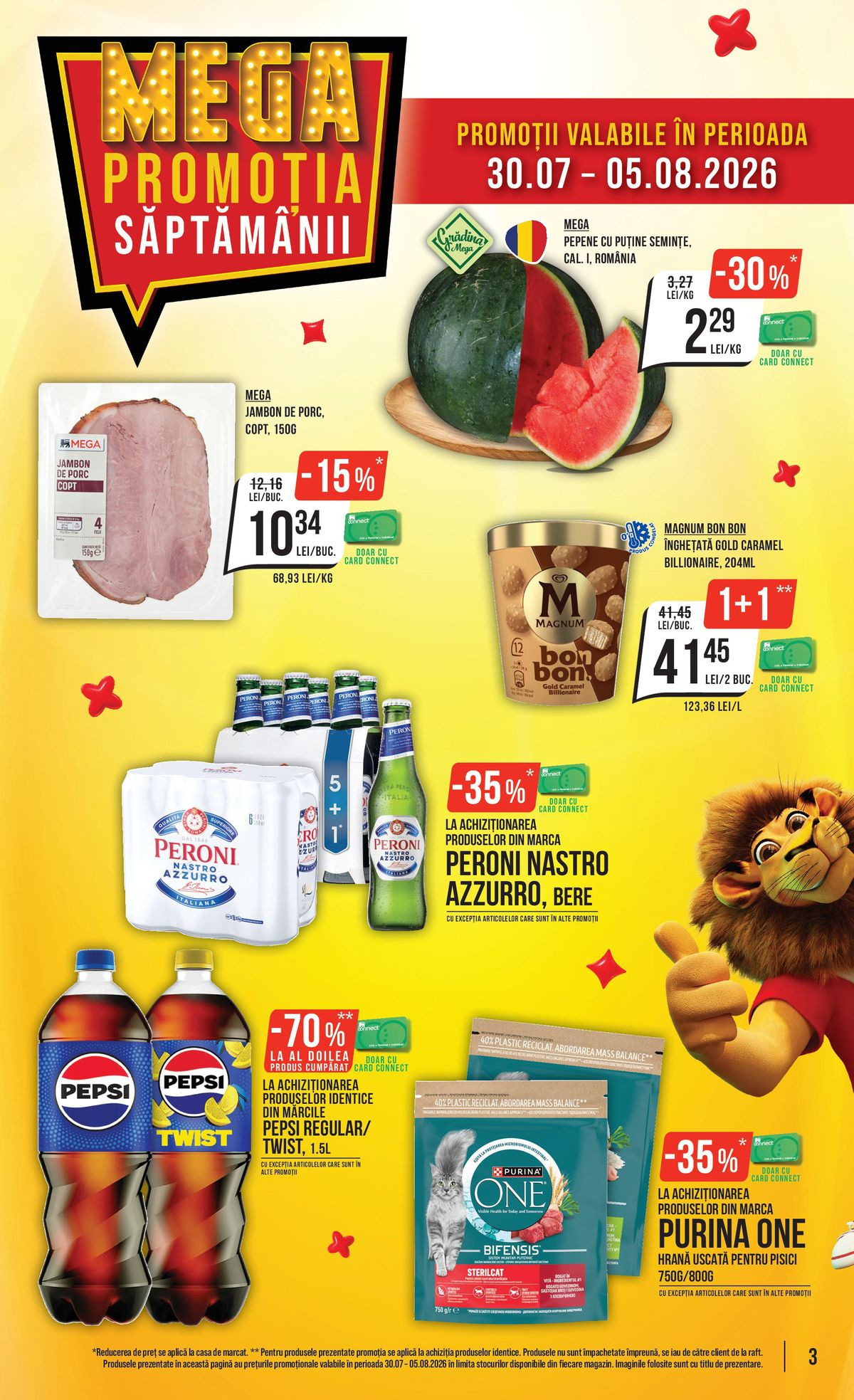 Pagina 3