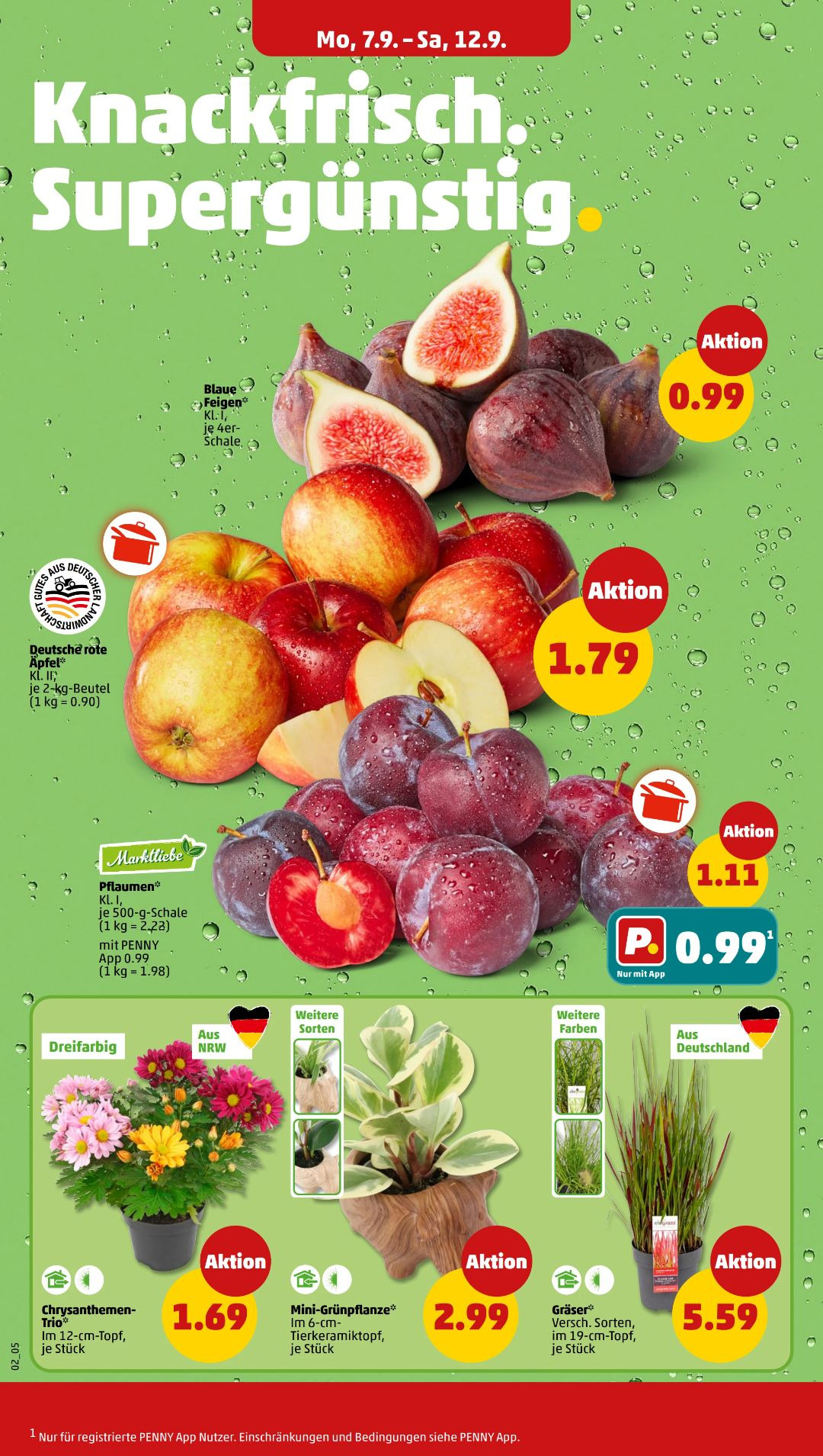 Pagina 2