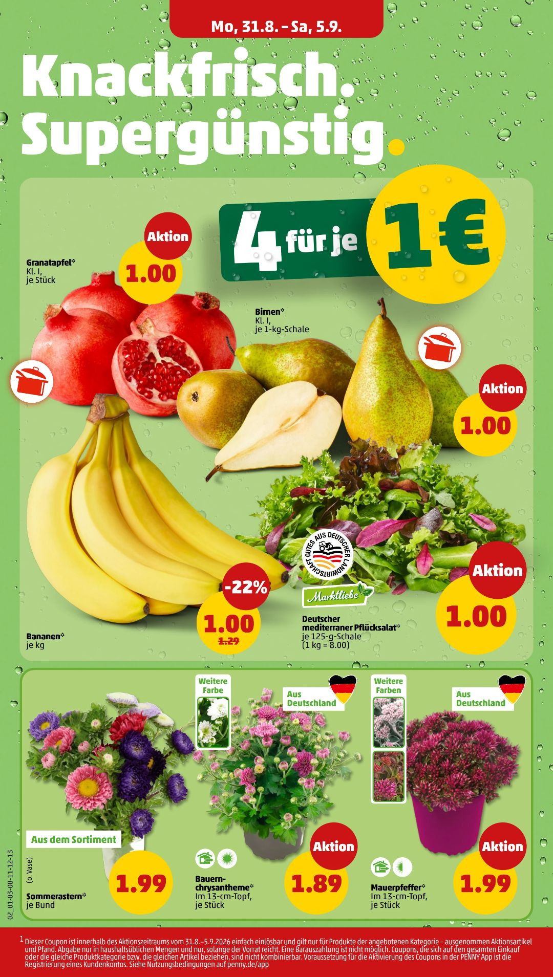 Pagina 4
