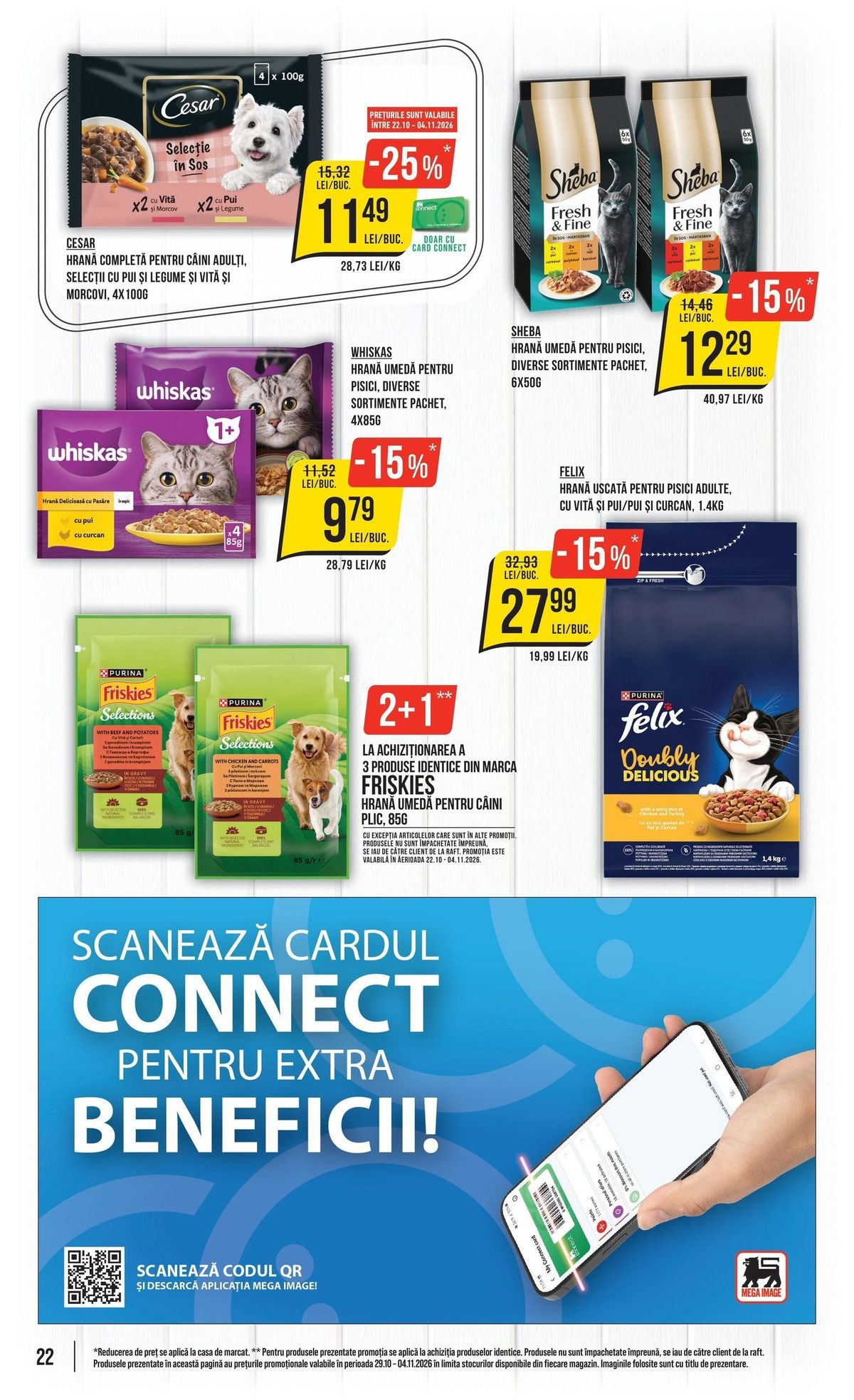 Pagina 22