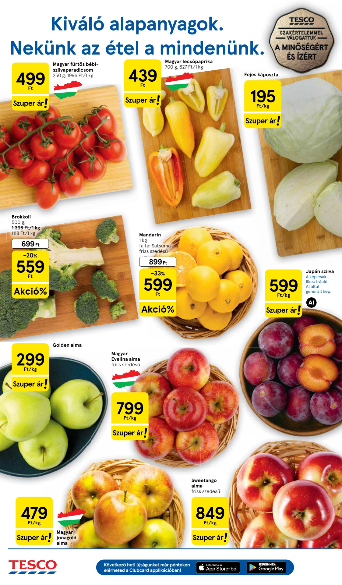עמוד 2