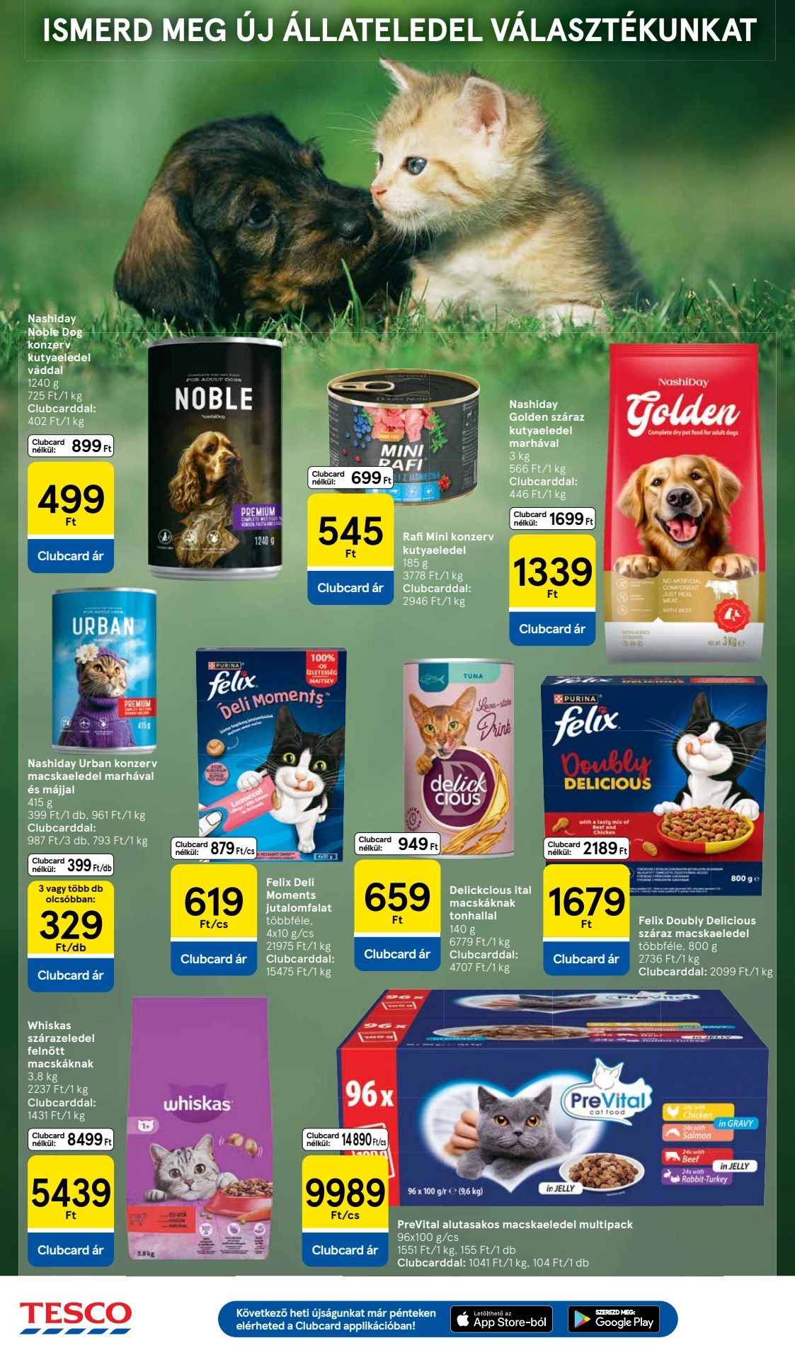 Pagina 26
