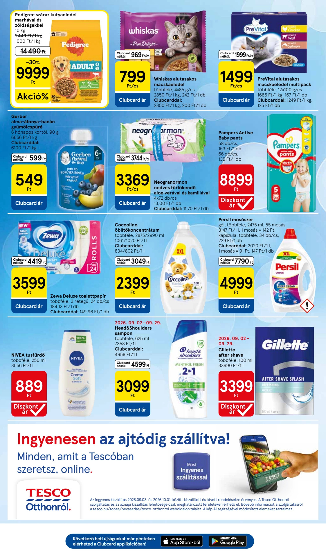 עמוד 7