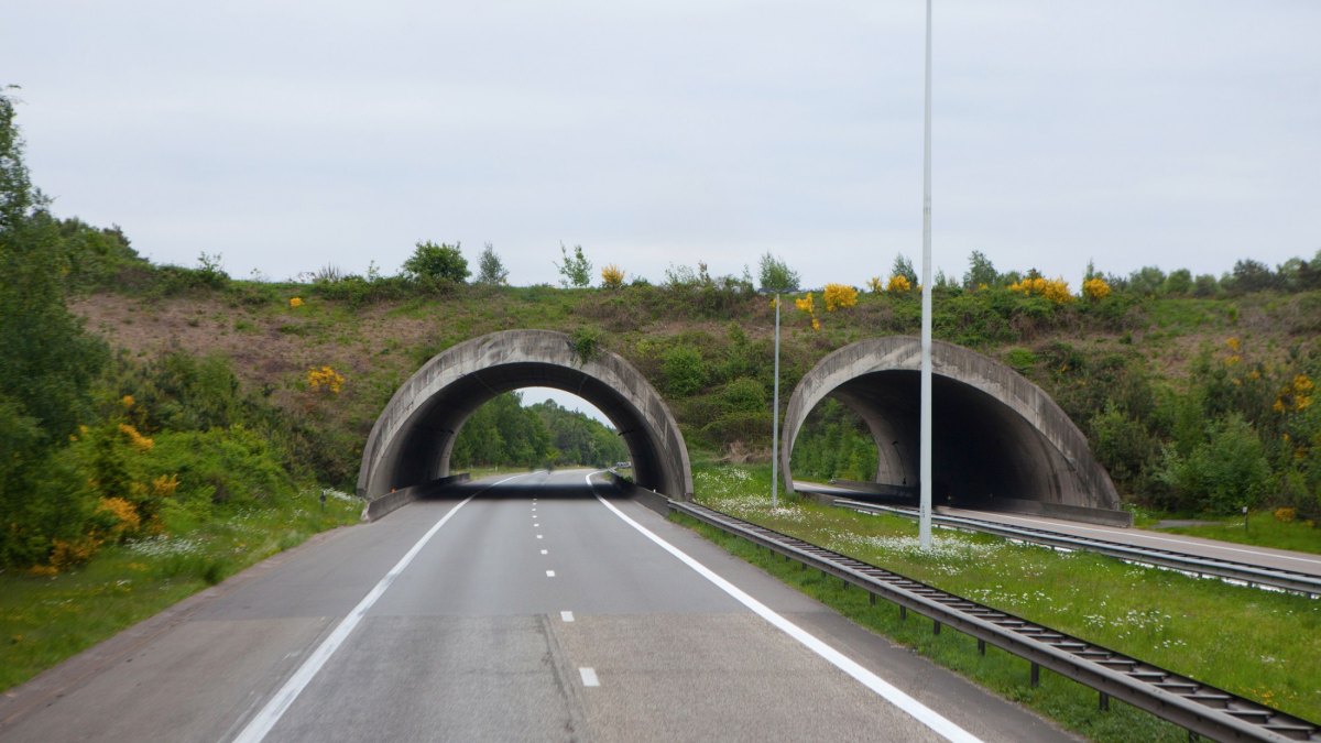 Autobahn in Germany