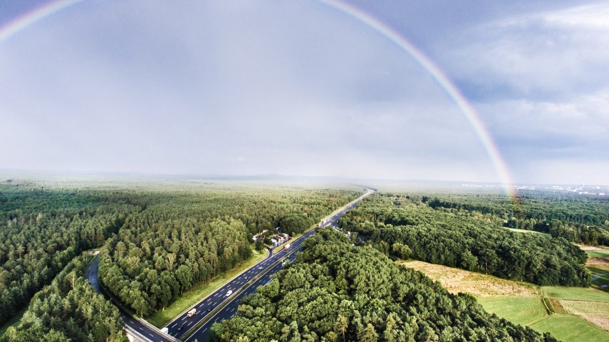 Highway in green forest, colorful rainbow, city. Netherlands