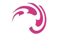 FSS Fracht Polska Sp. z o.o.