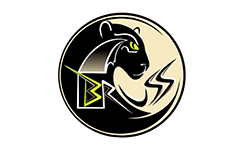 BRUSS TRANS Sp z O.O.
