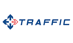 TRAFFIC Paweł Ławniczak